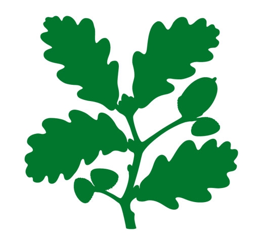 Borough of Poole