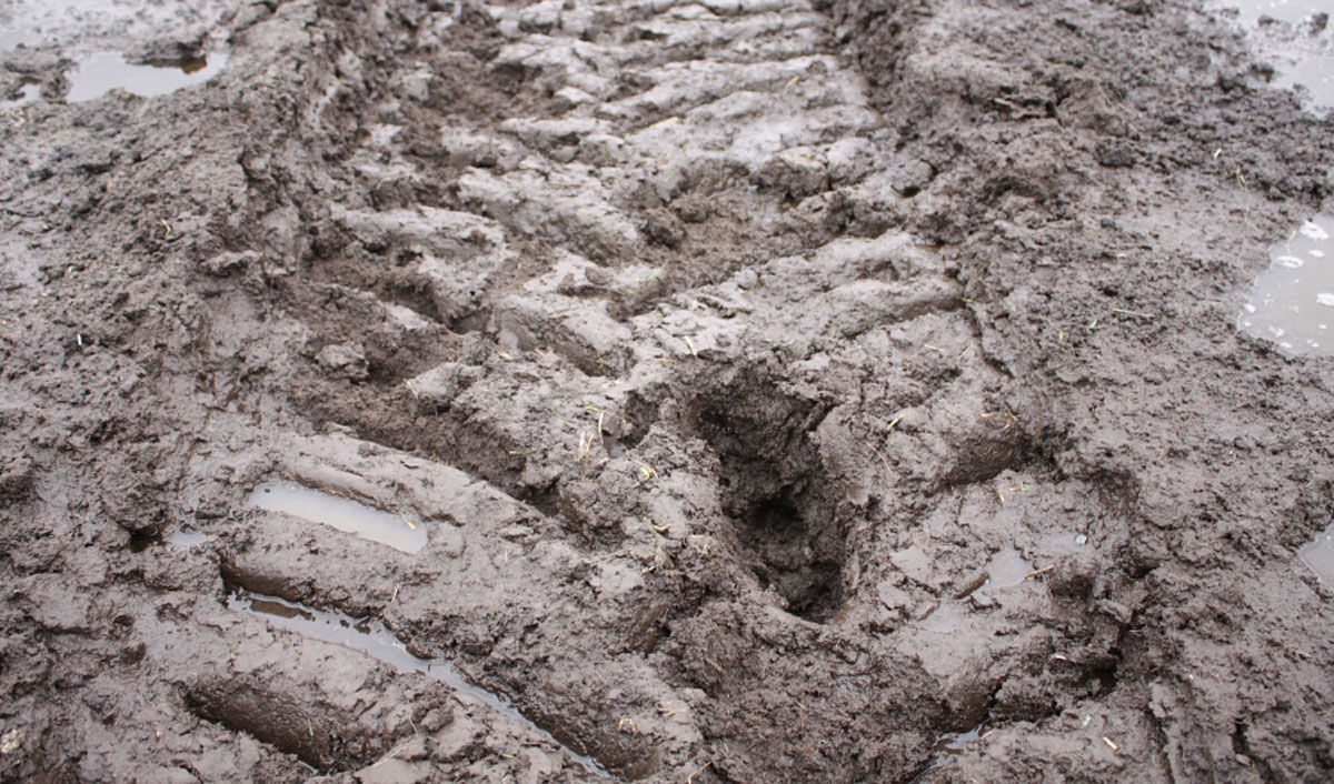 Tracks and footprint